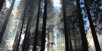 免费刷说说赞在线
